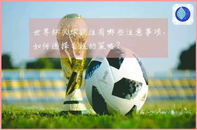 世界杯买球投注有哪些注意事项，如何选择合适的策略？
