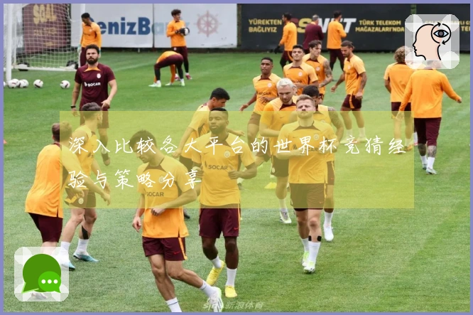 深入比较各大平台的世界杯竞猜经验与策略分享
